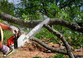 Mulching Services in West Salem, WI