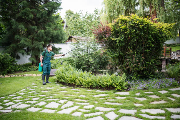Lawn Drainage Solutions in West Salem, WI